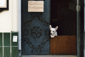 Schild "Geschlossene Gesellschaft" an halb geschlossener Tür, ein Hund schaut von innen nach draußen