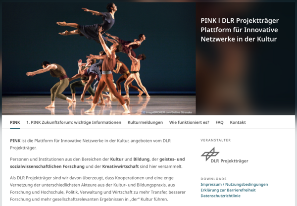 Screenshot der PINK Platform für Innovative Netzwerke in der Kultur